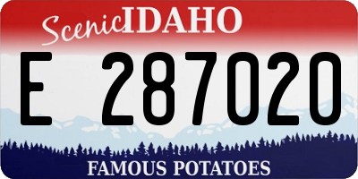 ID license plate E287020