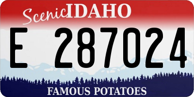 ID license plate E287024