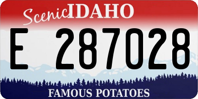 ID license plate E287028