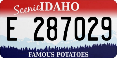 ID license plate E287029