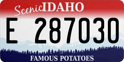 ID license plate E287030