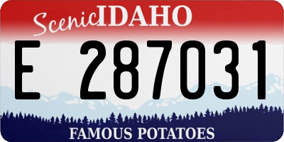 ID license plate E287031