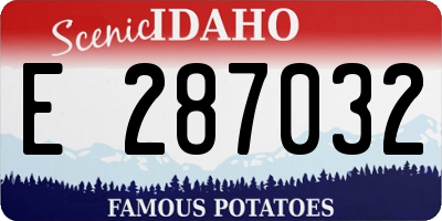 ID license plate E287032