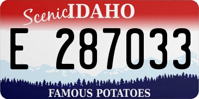 ID license plate E287033