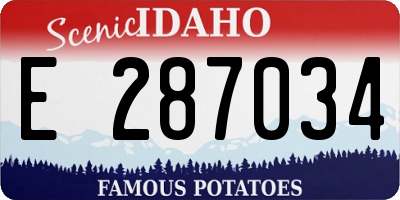 ID license plate E287034