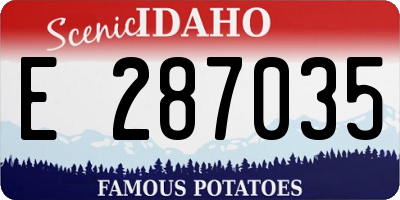 ID license plate E287035
