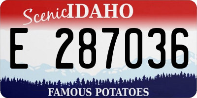 ID license plate E287036