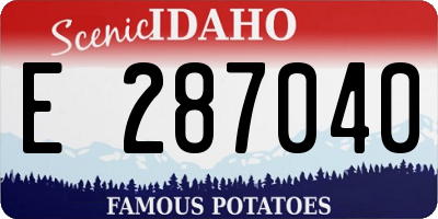 ID license plate E287040