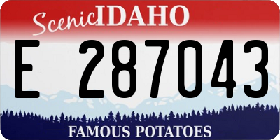 ID license plate E287043