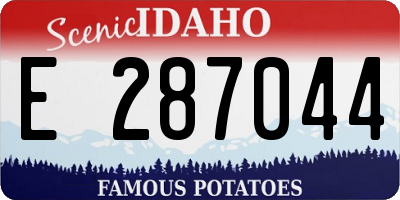 ID license plate E287044