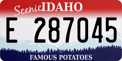 ID license plate E287045