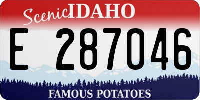 ID license plate E287046