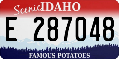 ID license plate E287048