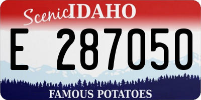 ID license plate E287050
