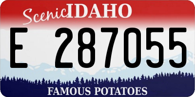 ID license plate E287055