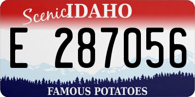 ID license plate E287056