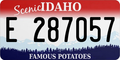 ID license plate E287057