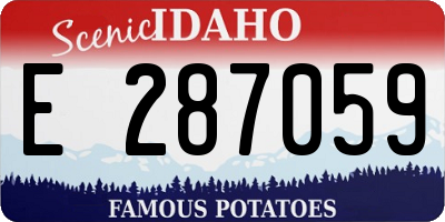 ID license plate E287059
