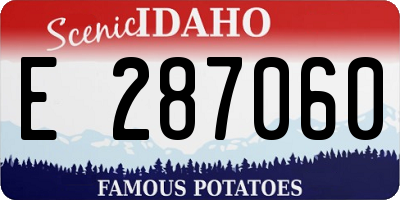 ID license plate E287060