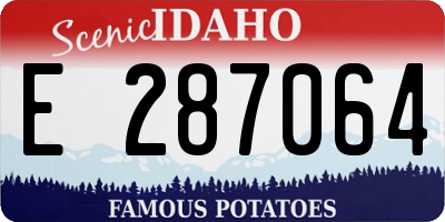 ID license plate E287064