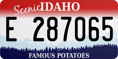 ID license plate E287065