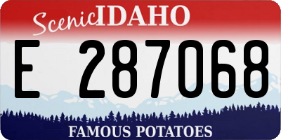 ID license plate E287068