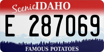 ID license plate E287069