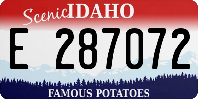 ID license plate E287072