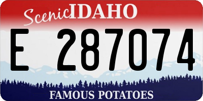 ID license plate E287074
