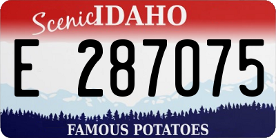 ID license plate E287075