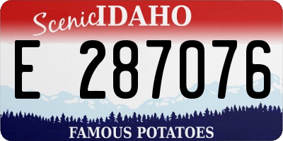 ID license plate E287076