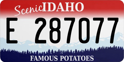 ID license plate E287077