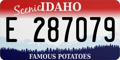 ID license plate E287079