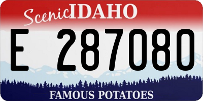 ID license plate E287080