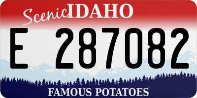 ID license plate E287082