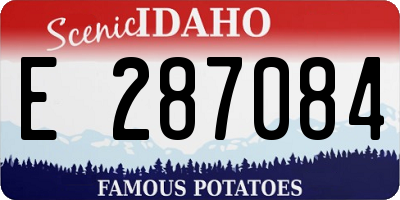 ID license plate E287084