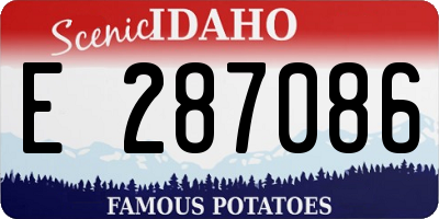 ID license plate E287086