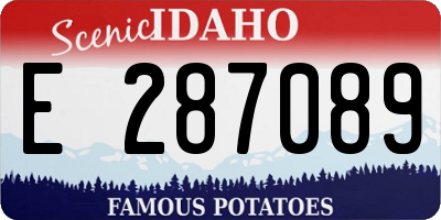 ID license plate E287089