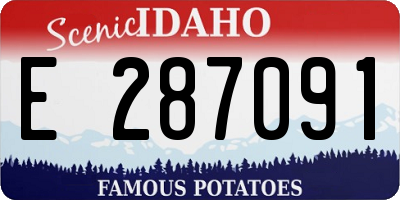 ID license plate E287091