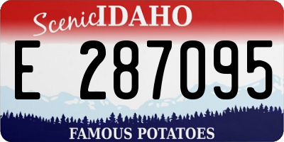 ID license plate E287095