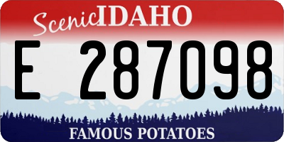 ID license plate E287098