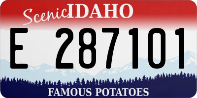 ID license plate E287101