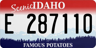 ID license plate E287110