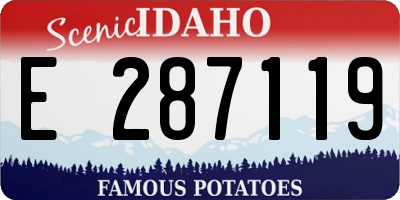 ID license plate E287119