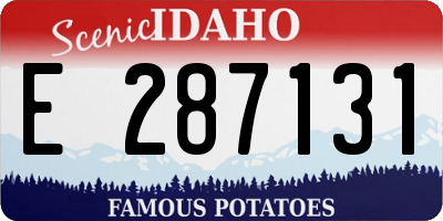 ID license plate E287131