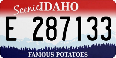 ID license plate E287133