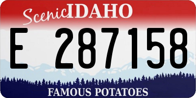 ID license plate E287158