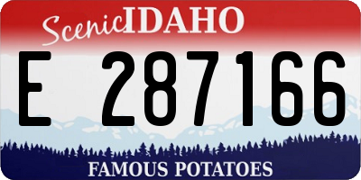 ID license plate E287166