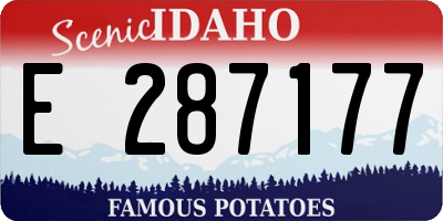 ID license plate E287177