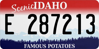 ID license plate E287213